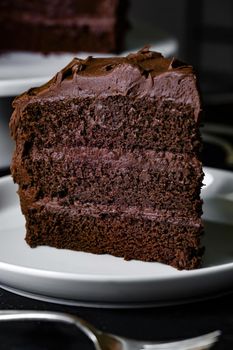 delicious triple chocolate cake on a white plate