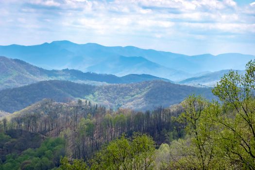 Landscape scenic views at pisgah national forest