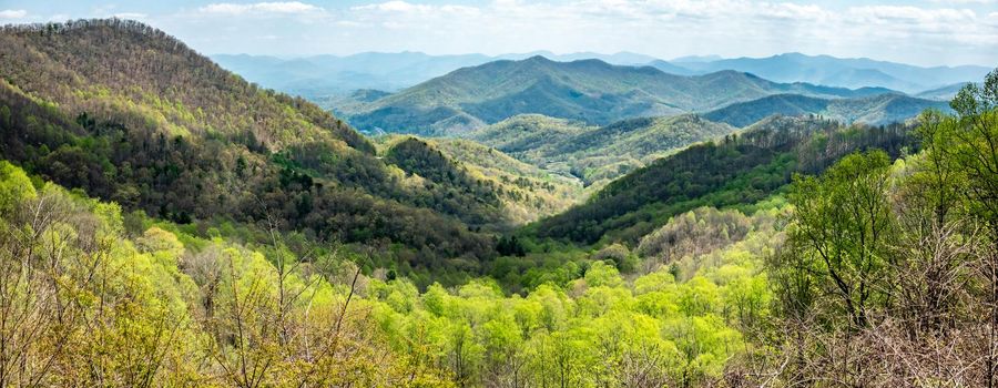 Landscape scenic views at pisgah national forest