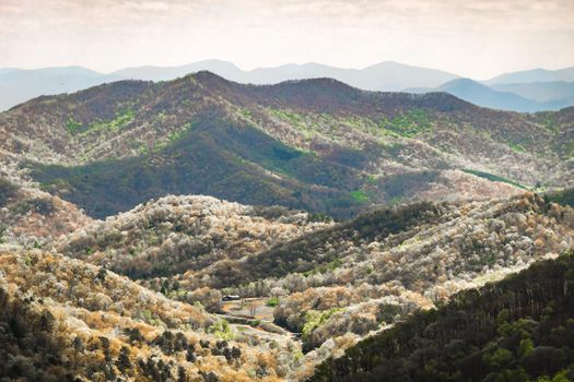 Landscape scenic views at pisgah national forest