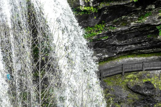dry falls is a scenic 65 foot waterfall in highlands north carolina