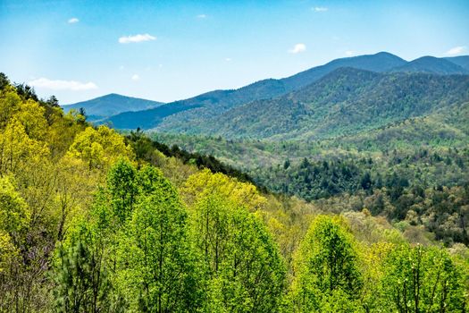 Landscape scenic views at pisgah national forest