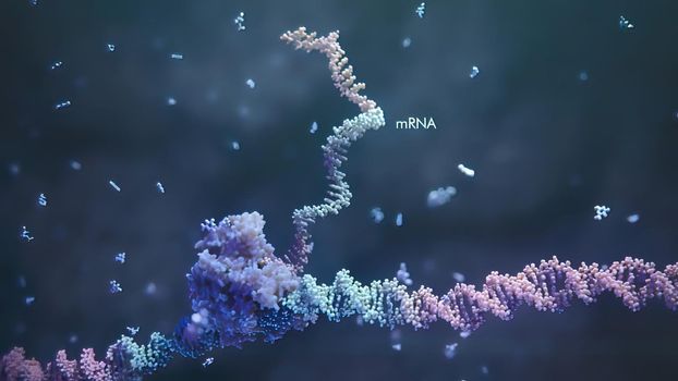 3d render illustration of Single strand ribonucleic acid. RNA research and therapy.