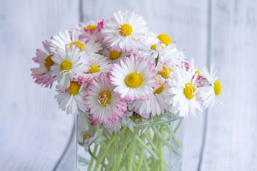 A bouquet of fresh flowers, daisies on green stems stand in a glass with clean water on a gray, wooden background.