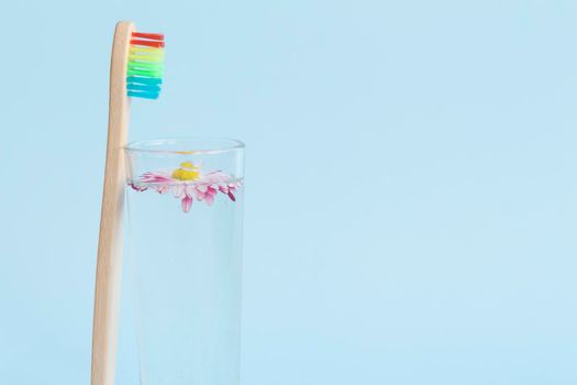 An ecological wooden toothbrush, a glass with clean, clear water and a white daisy on a blue background. And an empty space for advertising dentistry.