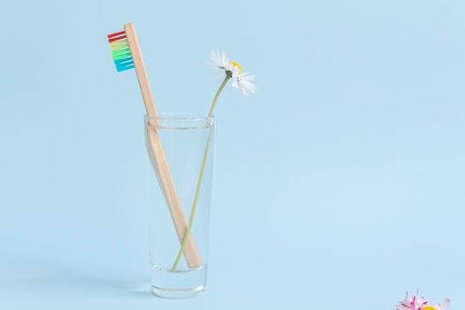 An ecological wooden toothbrush, a glass with clean, clear water and a white daisy on a blue background. And an empty space for advertising dentistry.