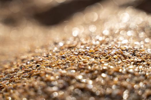 Golden sand on the coast at sunset with bokeh.