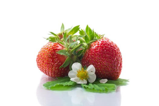 fresh ripe organic red strawberry isolated on white background