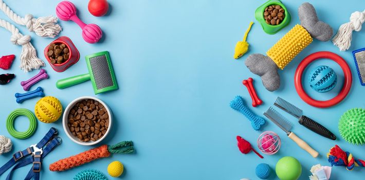 Pet care concept, various pet accessories, toys, balls, brushes on blue background, flat lay