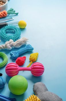 Pet care concept, various pet accessories, toys, balls, brushes on blue background, flat lay