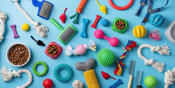 Pet care concept, various pet accessories and tools, toys, balls, brushes on blue background, flat lay pattern