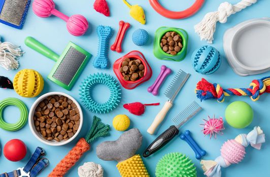 Pet care concept, various pet accessories and tools, toys, balls, brushes on blue background, flat lay pattern