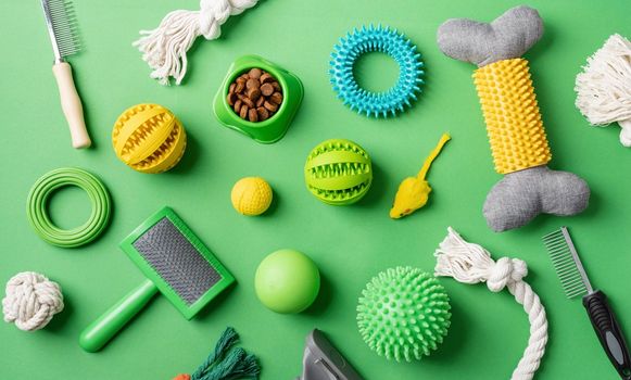 Pet care concept, various pet accessories and tools, toys, balls, brushes on green background, flat lay pattern