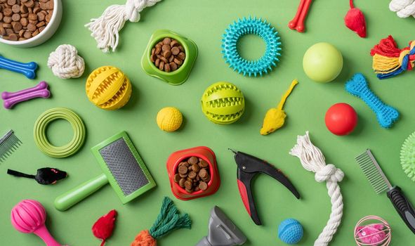 Pet care concept, various pet accessories and tools, toys, balls, brushes on green background, flat lay pattern