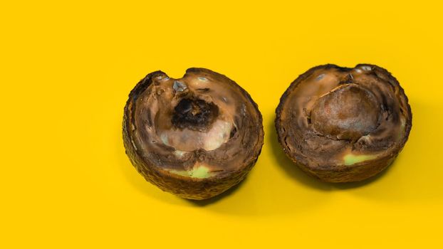 Rotten Avocado on Yellow background. Close up details Rotten tropical Fruits. Copy space on Yellow background about Food.