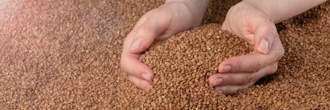 Buckwheat background, texture of buckwheat groats. Roasted buckwheat in the hands. Concept of food crisis, bad harvest, lack of food, famine