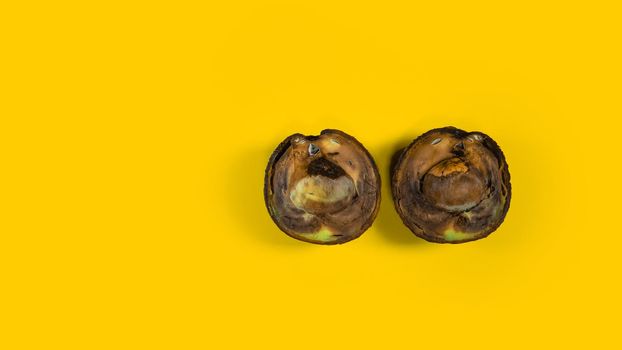 Rotten Avocado tropical fruits. Concept of Rotten Fruit Food. Copy space on Yellow background.