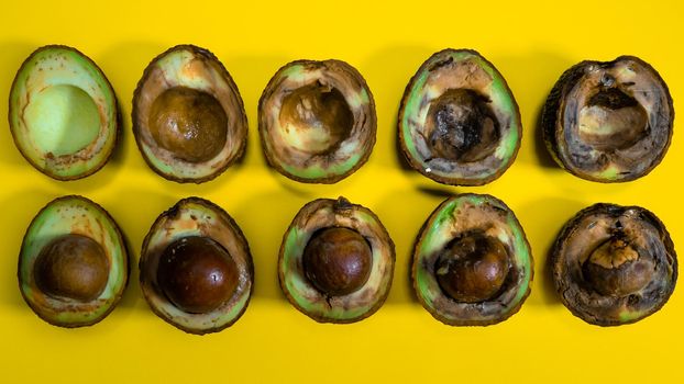 Avocado evolution from good to Rotten fruits Close up. Creative composition many Avocado cuts in halfs on yellow background. Rotten Avocado piles cannot be eaten.