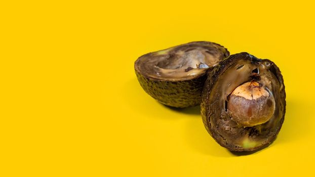 Rotten avocado close up on yellow background. Bad Overripe Tropical Fruits. Unhelthy food Concept with Copy space.