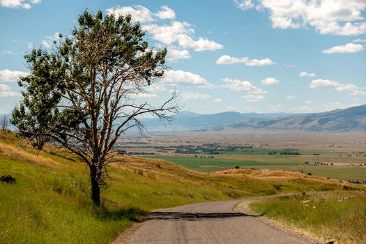 scenes around yellowstone national park in wyoming