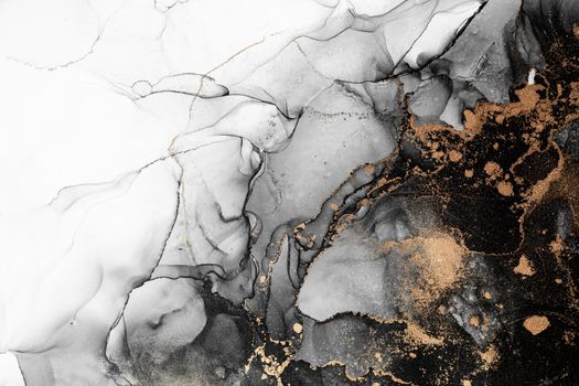 Marble ink abstract art from exquisite original painting for abstract background . Painting was painted on high quality paper texture to create smooth marble background pattern of ombre alcohol ink .