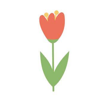 Simple cartoon icon on white background - tulip blooms. 8 March. Women spring day