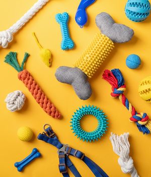 Pet care concept, various pet accessories and tools, toys, balls, brushes on yellow background, flat lay pattern