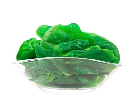 fresh spinach isolated on white background closeup