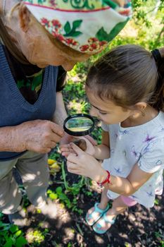 The child examines the snails on the tree. Selective focus. Nature.