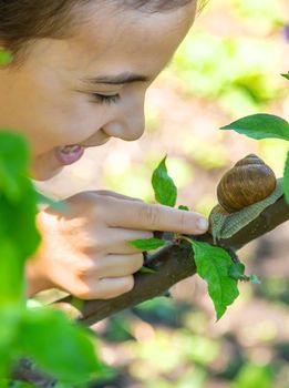 The child examines the snails on the tree. Selective focus. Nature.