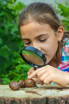 The child examines the snails on the tree. Selective focus. Kid.