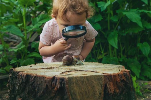 The child examines the snails on the tree. Selective focus. Kid.
