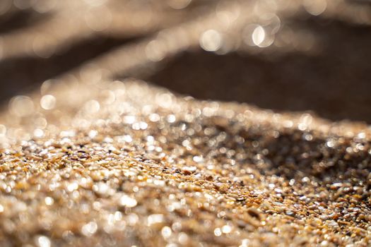 Golden sand on the coast at sunset with bokeh.