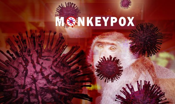 Monkeypox outbreak concept. Monkeypox is caused by monkeypox virus. Monkeypox is a viral zoonotic disease. Virus transmitted to humans from animals. Monkeys may harbor the virus and infect people.