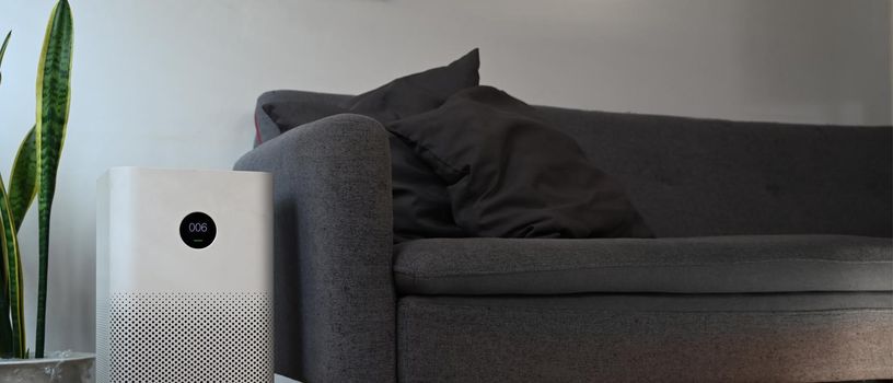 Air purifier with houseplant on floor in living room for fresh air and healthy wellness life.