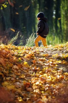 A little boy from behind walks in a sunny park in the autumn, covered with yellow tree leaves. Back to school. Selective focus.