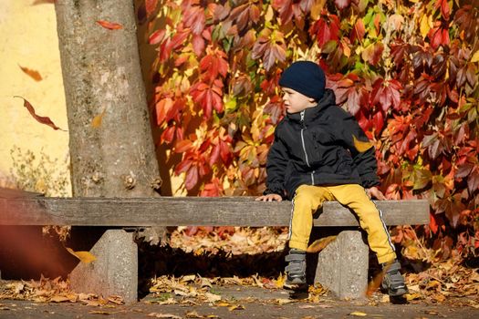 Outdoor autumn portrait of cute sad boy, with blue cap wearing black jacket, in autumn park, sitting on the the bench, red falling leaves in background.