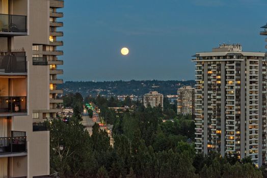 Full yellow moon raising over night city.