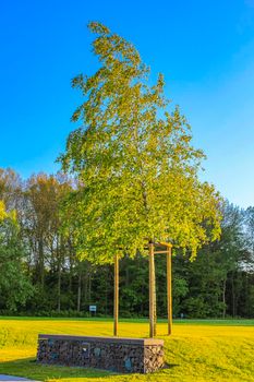 Natural beautiful panorama view with pathway and green plants trees in the forest of Speckenbütteler Park in Lehe Bremerhaven Germany.