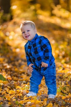 boy on the background of yellowed leaves in the forest