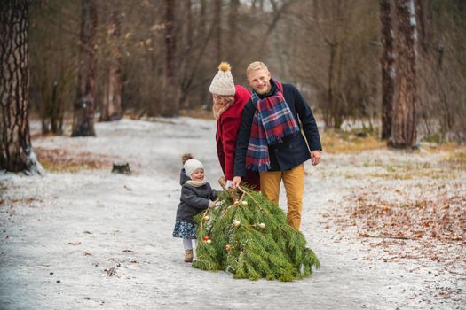 a family dragging a tree behind them in a winter park