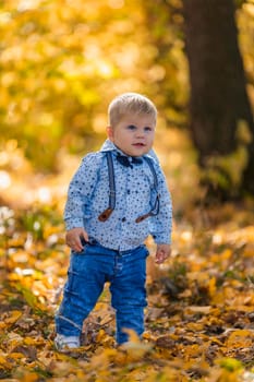 boy on the background of yellowed leaves in the forest
