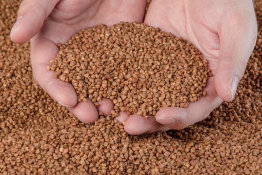 Buckwheat background, texture of buckwheat groats. Roasted buckwheat in the hands. Concept of food crisis, bad harvest, lack of food, famine