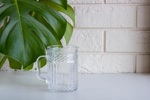 Leaves of Monstera, in front of a white brick wall next to a glass mug.