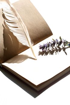 Still life with open book and quill pen near wildflower