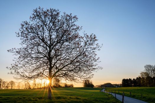 Panoramic image of scenic view on a colorful morning, Bergisches Land, Odenthal, Germany