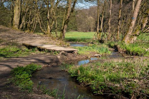 Panoramic image of bodies of water, idyllic scenery within the Bergisches Land, Germany