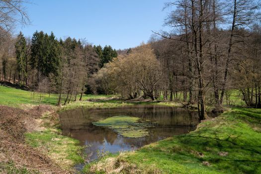 Panoramic image of bodies of water, idyllic scenery within the Bergisches Land, Germany