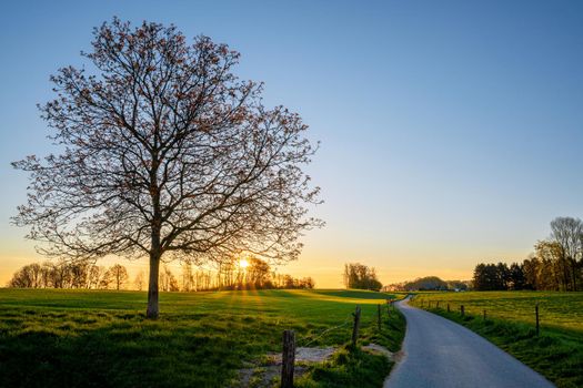Panoramic image of scenic view on a colorful morning, Bergisches Land, Odenthal, Germany