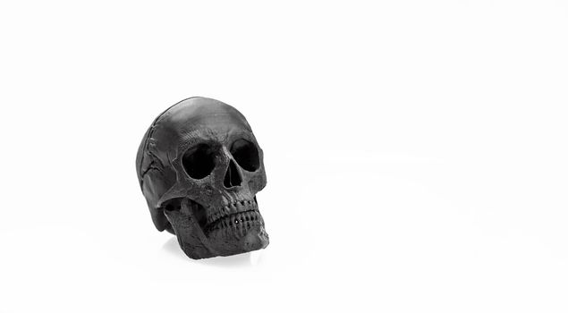 skull black in profile isolated on white background with shadow
